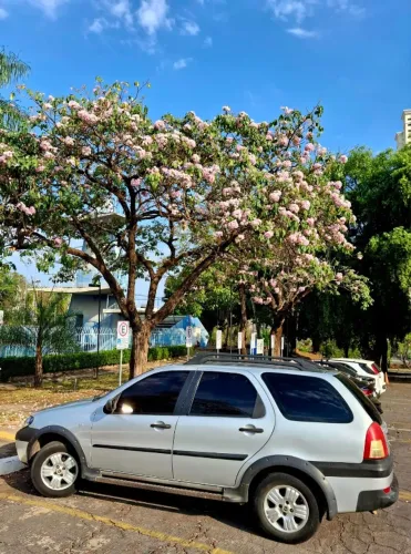 Fiat Palio Week. Adv/adv Tryon 1.8 MPI Flex 2005