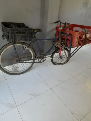 Bicicleta de carga