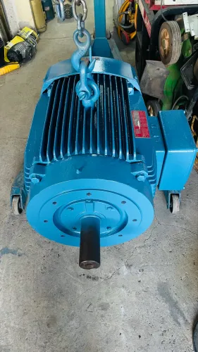 Motor elétrico 50 cv 4 polos! 12 cabos 