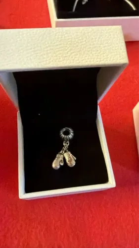 Charm Pandora