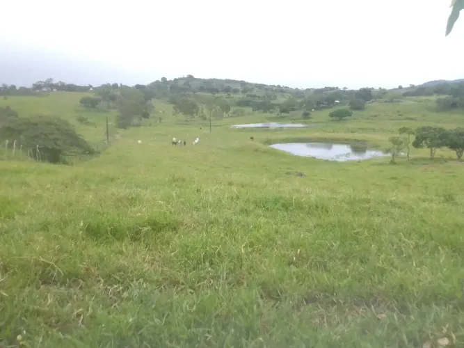 Vendemos uma propriedade com 7 hectares em Palmares, R$: 300 mil reais.
