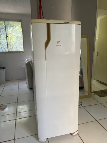 Geladeira Electrolux Frost Free 322 Litros (Modelo RFE39) - 220V