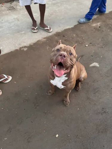 Pit monster 