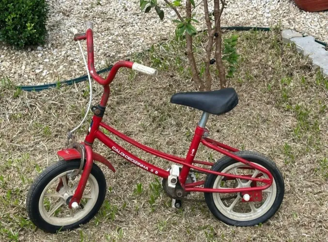 Bicicleta caloi ceci aro 10