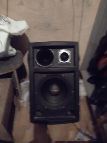 Vendo caixa profissional de 12 polegadas passiva