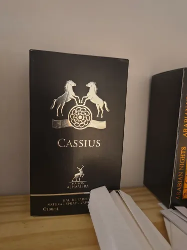 Perfume Cassius Edp 100 ml