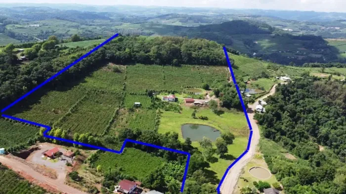 Imóvel para venda tem 14 hectares sendo 6,8 de videiras - Monte Belo do Sul - RS
