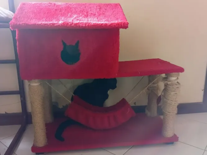 Casa para gatos com arranhador