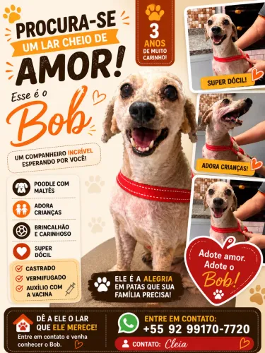 ? PROCURA-SE UM LAR CHEIO DE AMOR! ?