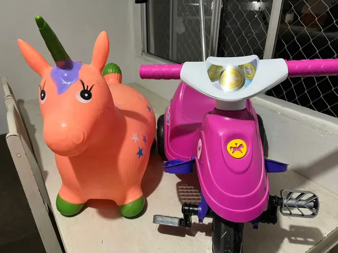 Cavalinho e motinha