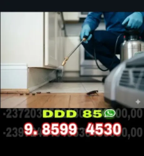 Dedetização Profissional Contra Baratas, Formigas e Ratos