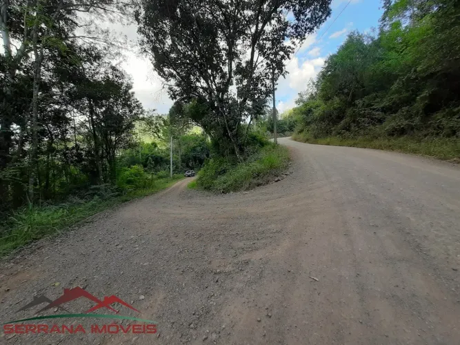 AREA RURAL em Nova Petrópolis - RS, Pedancino