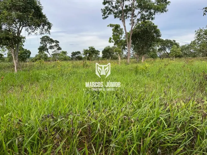 FAZENDA NA REGIÃO DE SÃO FRANCISCO DE 1000 HECTARES PARA PECUARIA NORTE DE MINAS