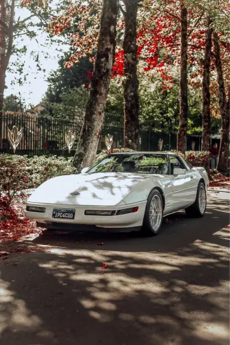 Chevrolet Corvette 5.7/ 6.0, 6.2 Targa/stingray 1992