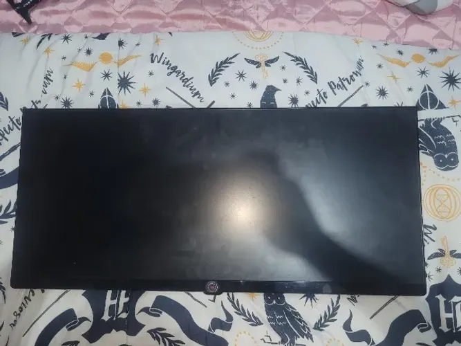 Monitor LG Ultrawide 29pol + Braço Articulado
