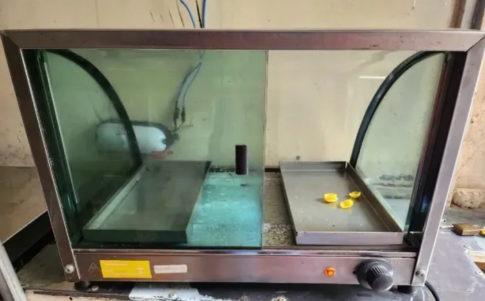 O ChatGPT disse: Vendo Kit Comercial para Lanchonete: Chapa, Estufa e Balcão de Inox