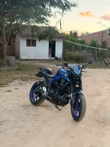 Mt03