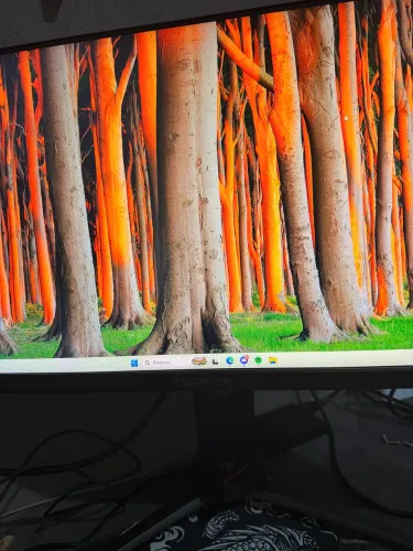 Monitor Gamer Acer Predator XB3 24.5" IPS 240Hz 0.5ms - Completo na Caixa