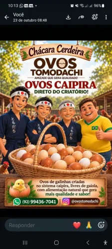 Vendo ovos caipira
