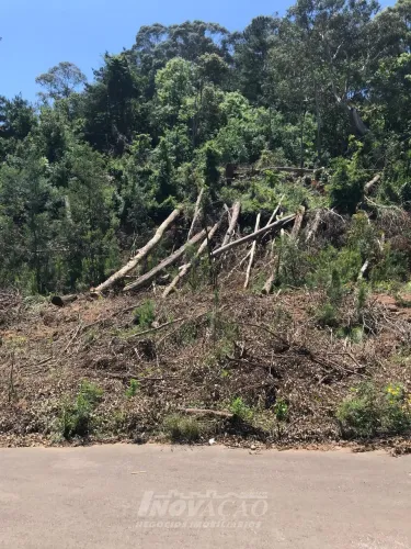 Terreno São Luiz Caxias do Sul