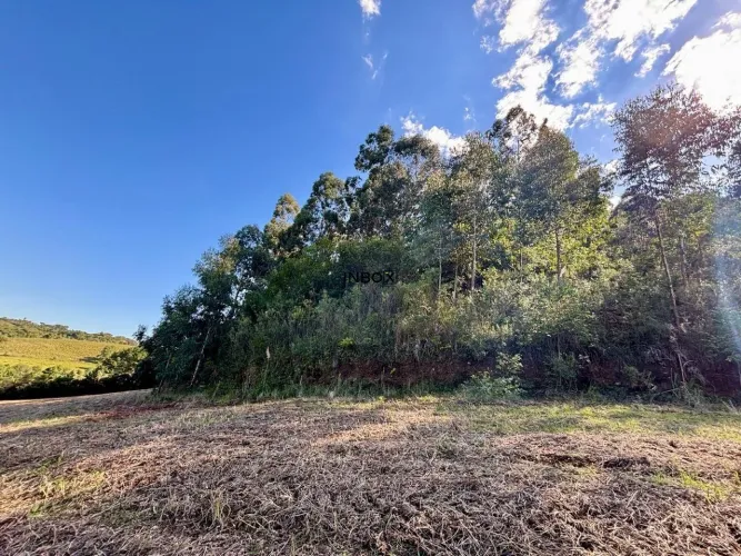 INBOX CIA IMOBILIARIA VENDE, ÁREA DE TERRA NO ANDRE DA ROCHA.