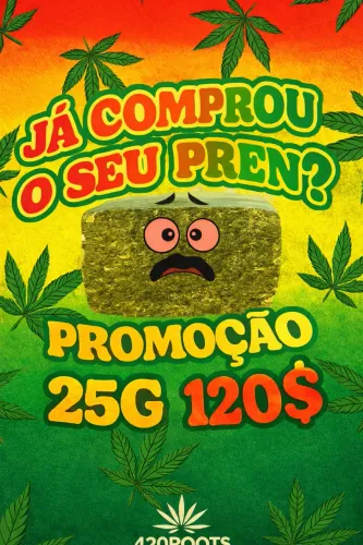 Planta