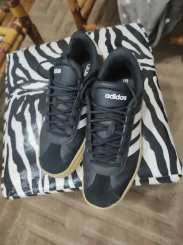 Tenis