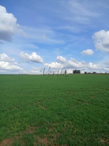FAZENDA À VENDA COM PIVÔ REGIÃO DE ALTEROSA/MG
