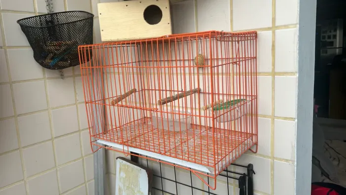 Gaiola para calopsita e periquito