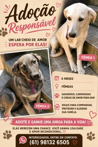 Adoção Responsável