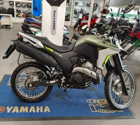 LANDER VERDE