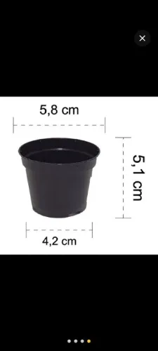 Pote 6 para plantas suculentas