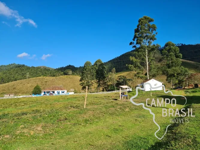 FAZENDA 100 ALQUEIRES EM PASSA VINTE - MG !