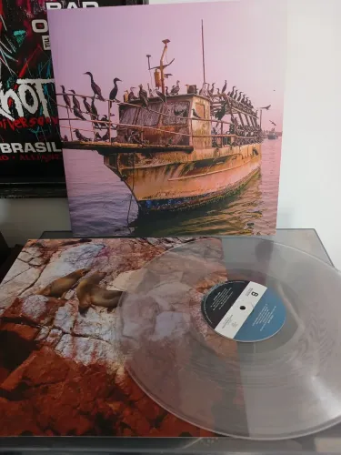Vinil Beto Bruno (Cachorro Grande)