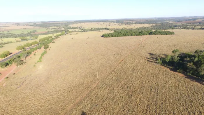 Fazenda 41.5 alq. Em Jataí Go. Planta 85% 15 milhões.