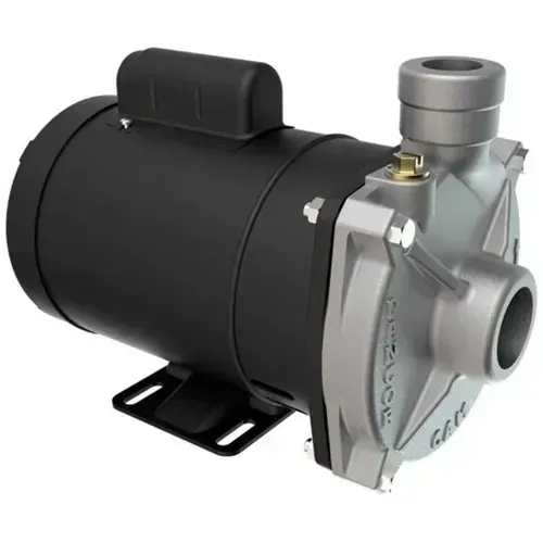 BOMBA CENTRIFUGA DANCO CAM-W10 2CV M 110/220V