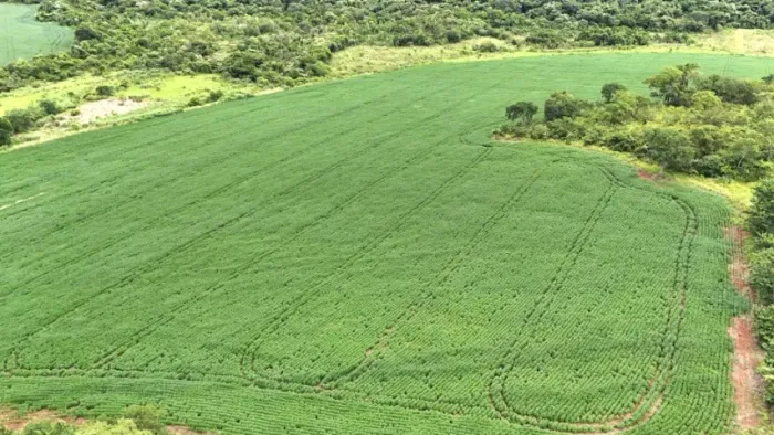 Chácara 25 hectares - Jaraguari MS. De terra preta e roxa. Com água corrente!