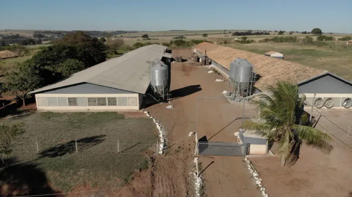 Granja já pronta