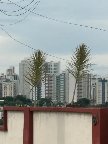 Oportunidade lote 800m2