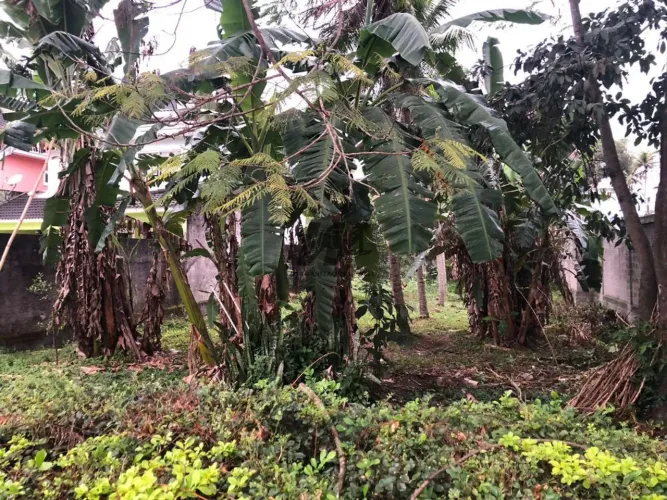 Terreno a venda em Rio de Janeiro