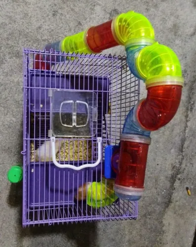 Gaiola para hamster ou roedores de 3 andares 
