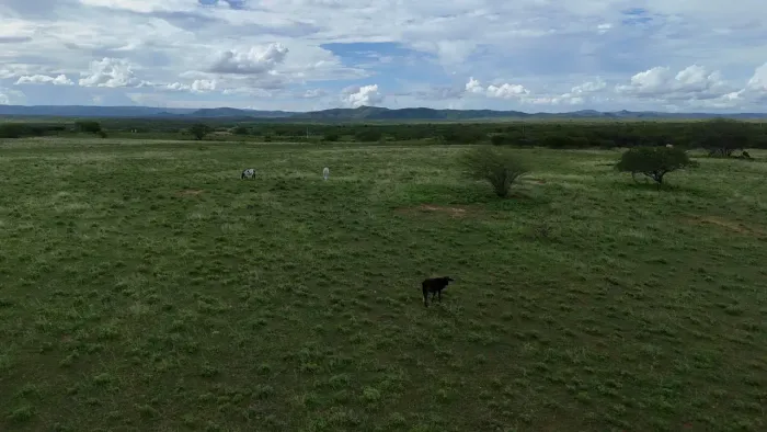 fazenda estruturada com 152 hectares com o  rio potengi e lindos açudes