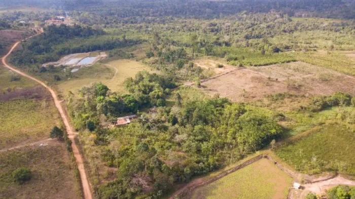 Chácara 31 hectares - Produção de cacau + Piscicultura ativa - Uruará (PA)