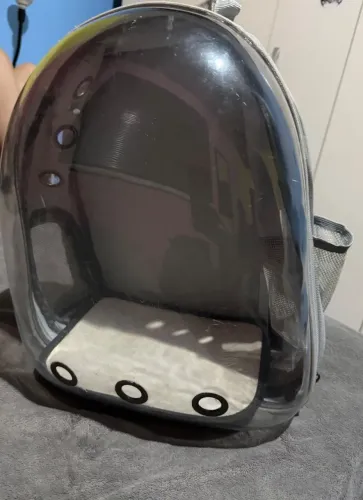 Mochila para carregar gato