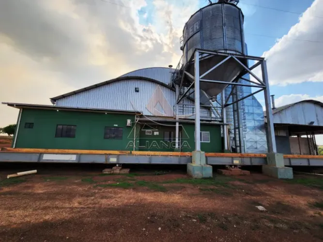 Fazenda - Campinorte - Zona Rural