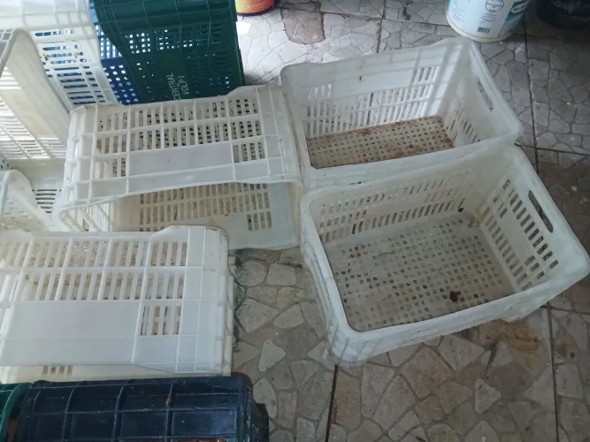 Caixa de verduras plástica