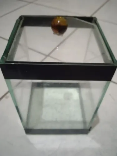 Besteira e cascalho branco 750 g