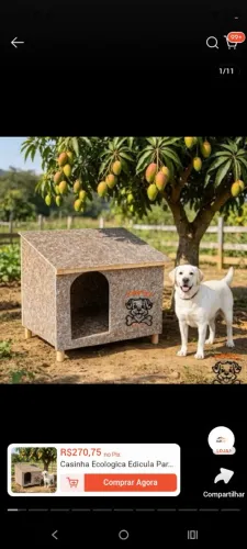 Casa de cachorro ecológica, de porte médio