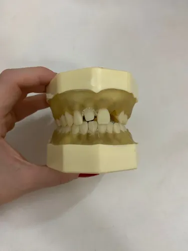 ORAIS periodontia modelo 2022 Arcadas dentária Odonto 