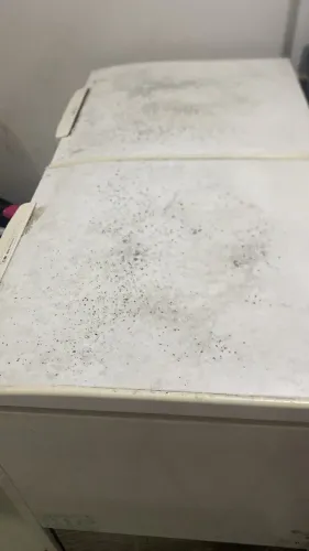 Freezer horizontal